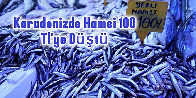 KARADENİZ’DE HAMSİ 100 TL’YE DÜŞTÜ